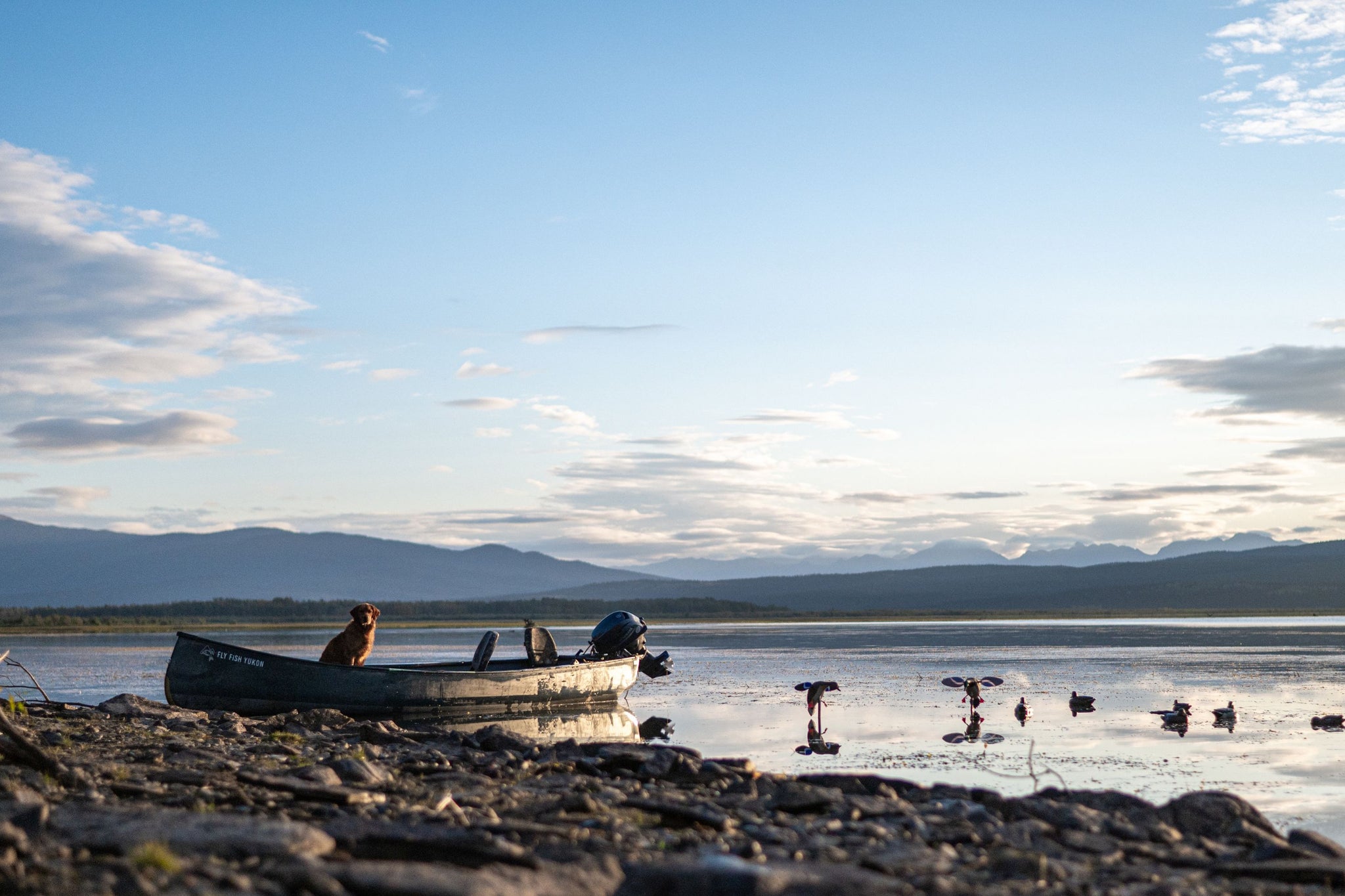 Série Freighter | Hudson Bay 21'