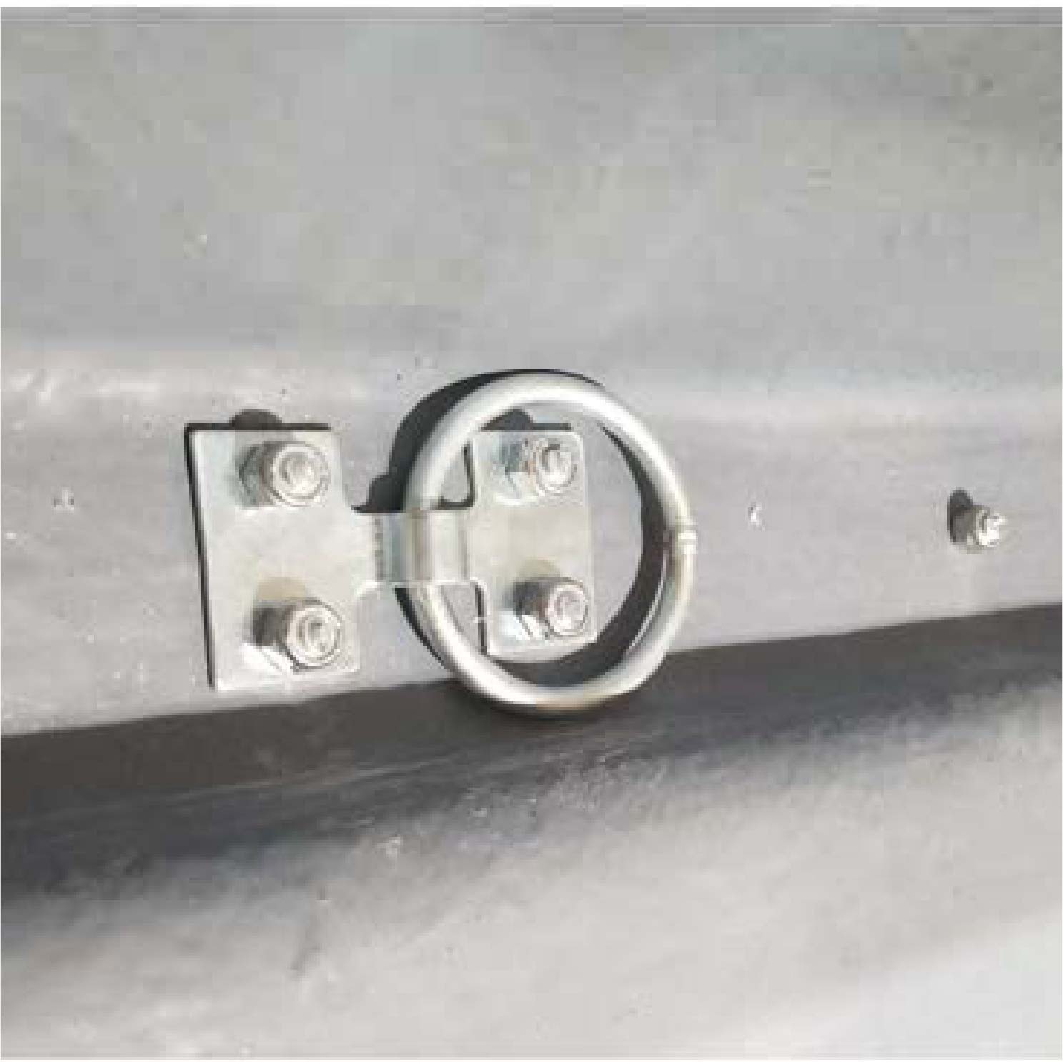 Traineaux | Modèle TGX